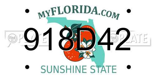 918D42 Florida License Plate