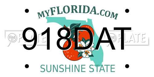 918DAT Florida License Plate
