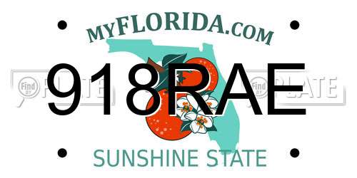 918RAE Florida License Plate