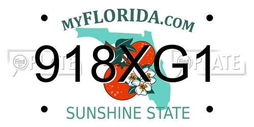 918XG1 Florida License Plate