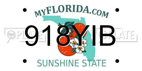 918YIB Florida License Plate