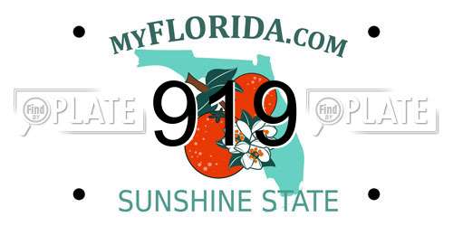 919 Florida License Plate