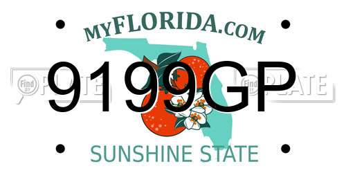 9199GP Florida License Plate