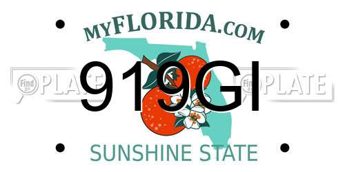 919GI Florida License Plate