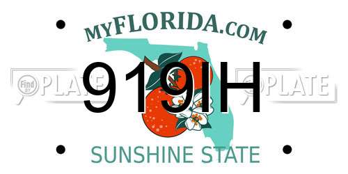 919IH Florida License Plate