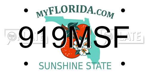 919MSF Florida License Plate