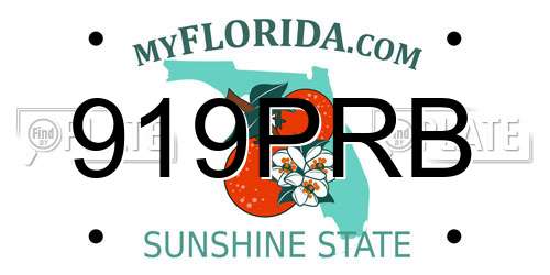 919PRB Florida License Plate