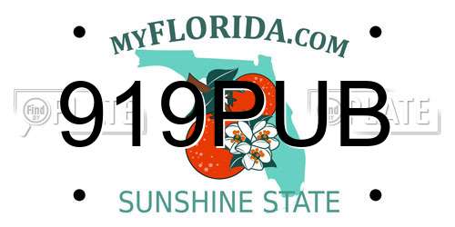 919PUB Florida License Plate