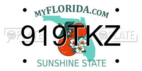 919TKZ Florida License Plate