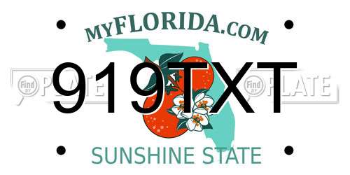 919TXT Florida License Plate