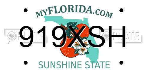 919XSH Florida License Plate