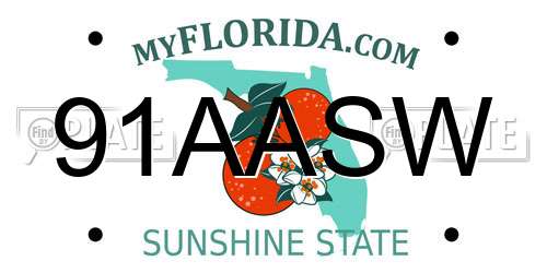 91AASW Florida License Plate