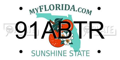 91ABTR Florida License Plate