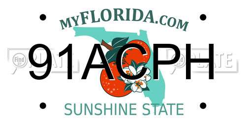 91ACPH Florida License Plate