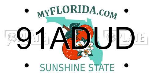 91ADUD Florida License Plate
