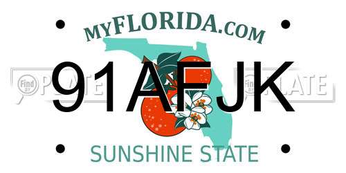 91AFJK Florida License Plate