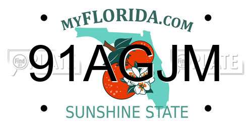 91AGJM Florida License Plate