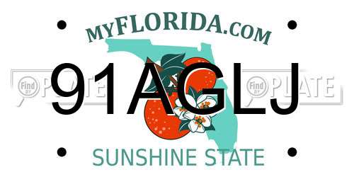 91AGLJ Florida License Plate