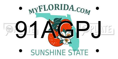 91AGPJ Florida License Plate