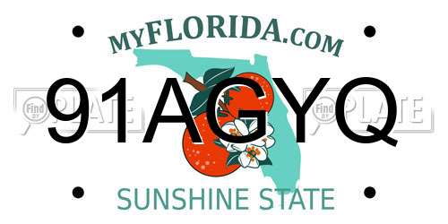 91AGYQ Florida License Plate