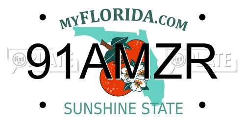 91AMZR Florida License Plate