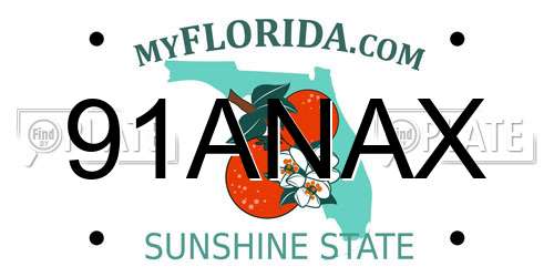 91ANAX Florida License Plate
