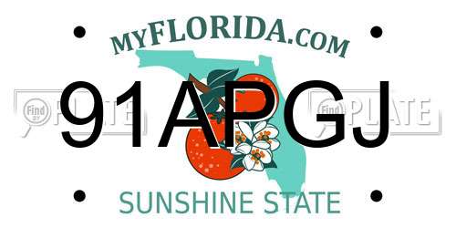 91APGJ Florida License Plate
