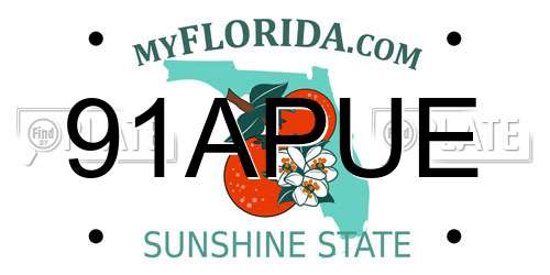 91APUE Florida License Plate