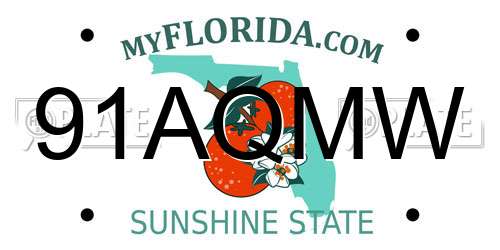 91AQMW Florida License Plate