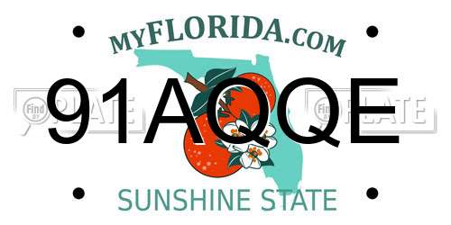 91AQQE Florida License Plate