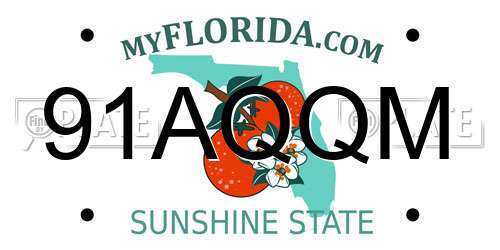91AQQM Florida License Plate