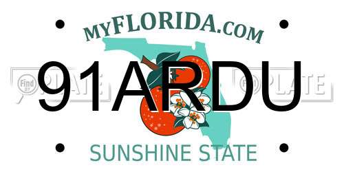 91ARDU Florida License Plate