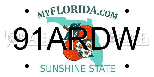 91ARDW Florida License Plate