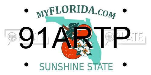 91ARTP Florida License Plate