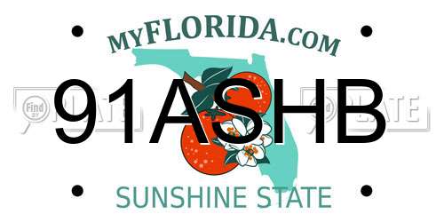 91ASHB Florida License Plate