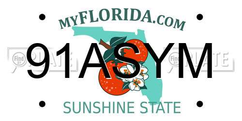 91ASYM Florida License Plate