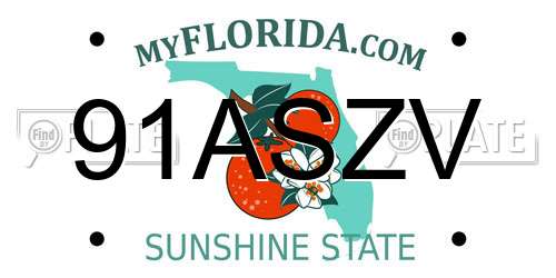 91ASZV Florida License Plate