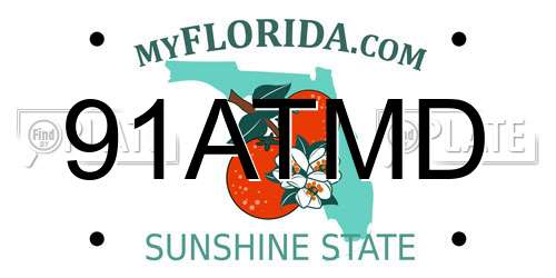 91ATMD Florida License Plate