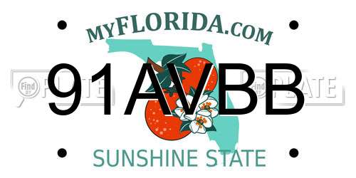 91AVBB Florida License Plate
