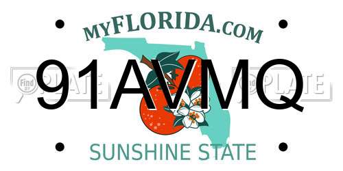 91AVMQ Florida License Plate