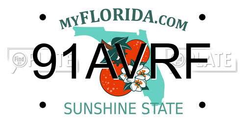 91AVRF Florida License Plate