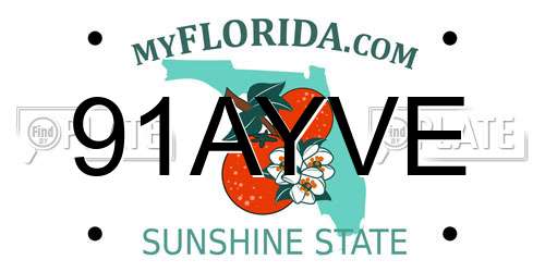 91AYVE Florida License Plate
