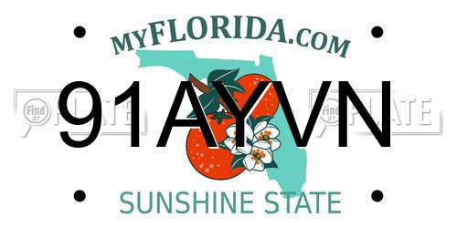 91AYVN Florida License Plate