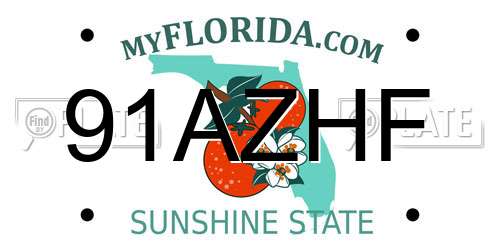 91AZHF Florida License Plate