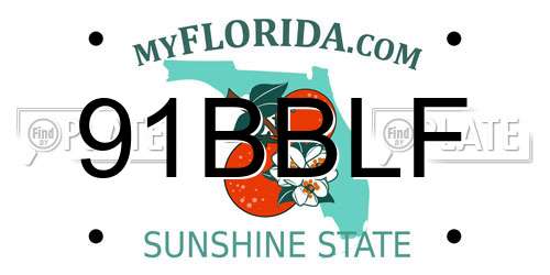 91BBLF Florida License Plate