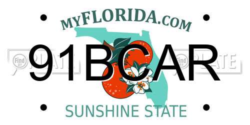 91BCAR Florida License Plate
