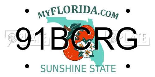 91BCRG Florida License Plate
