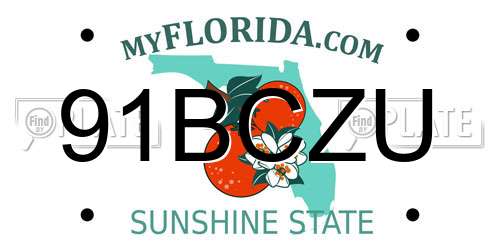 91BCZU Florida License Plate