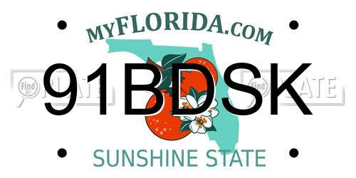 91BDSK Florida License Plate