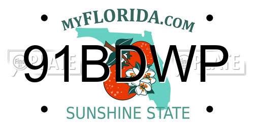 91BDWP Florida License Plate